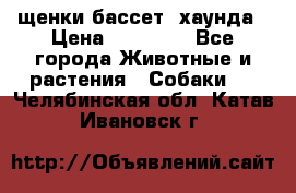 щенки бассет- хаунда › Цена ­ 20 000 - Все города Животные и растения » Собаки   . Челябинская обл.,Катав-Ивановск г.